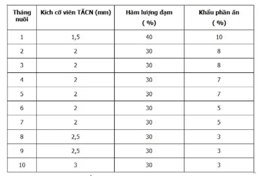 Nuôi Cá Sặc Rằn Nuôi Cá Sặc Rằn