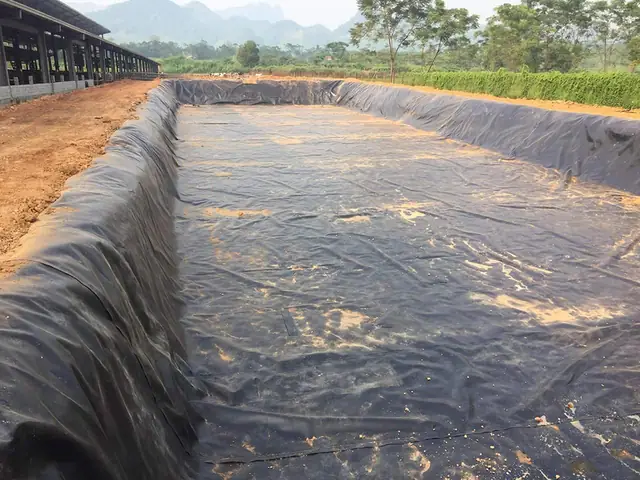 Chuẩn Bị Ao Nuôi
