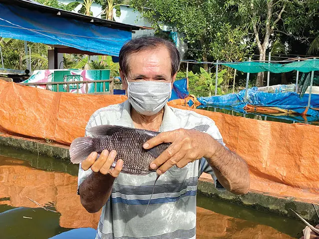 Độc Đáo Nuôi Cá Tai Tượng Trong Bể Xi Măng Giữa Lòng Đô Thị