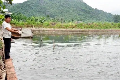 Nuôi Cá Trắm Đen Công Nghiệp