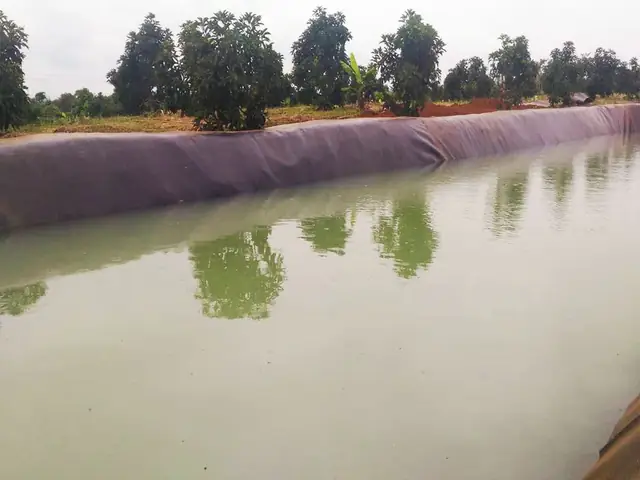Nuôi Cá Trong Bể Lót Bạt Nuôi Cá Trong Bể Lót Bạt