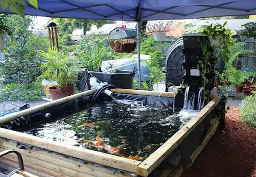 Giải Pháp Nuôi Cá Trong Thùng Xốp Với Bạt Lót Hdpe