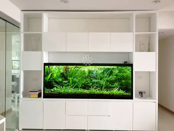 Lợi Ích Bất Ngờ Khi Nuôi Hồ Cá Trong Phòng Ngủ