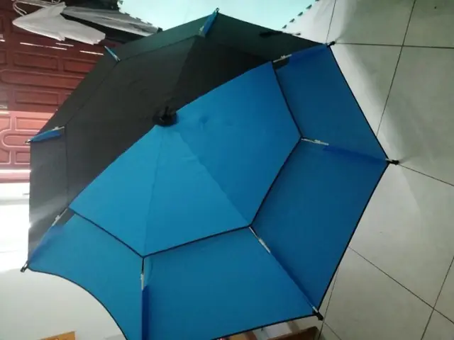 Tán Ô Câu 2m4