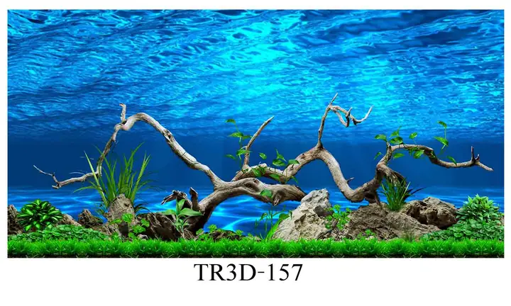 Phông Nền Tranh 3d Hồ Cá Rồng