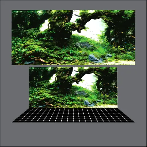 Phông Nền Tranh 3d Hồ Cá Rồng