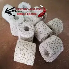 Sứ Nhẫn Trắng