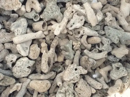 Phụ Kiện Lọc Nước Hồ Cá Koi