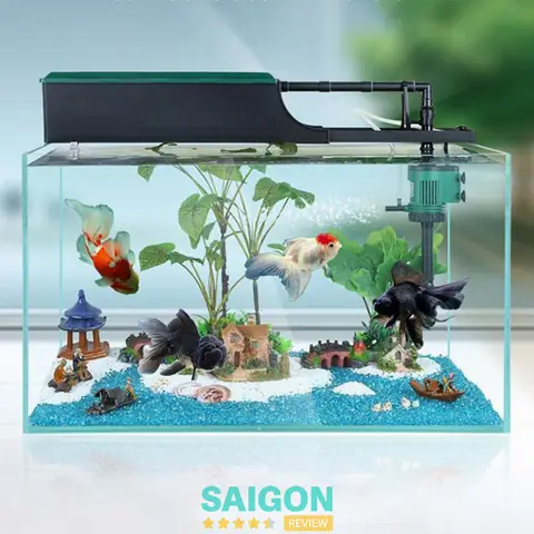 Cửa Hàng Việt Aquarium