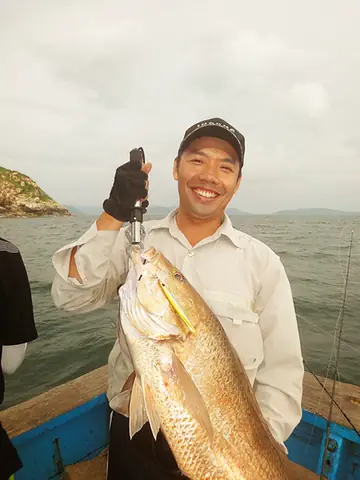 Red Snapper Là Cá Gì