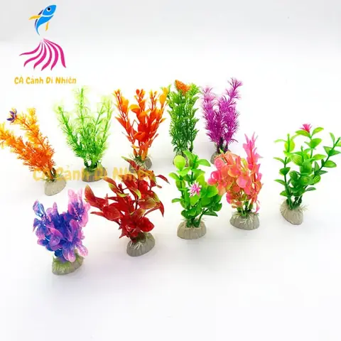 Rong Giả Hồ Cá Là Gì? Hướng Dẫn Chi Tiết Cách Chọn Và Bảo Dưỡng Rong Giả Cho Hồ Cá Cảnh