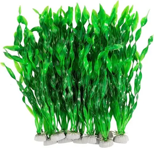 Rong Giả Hồ Cá Là Gì? Hướng Dẫn Chi Tiết Cách Chọn Và Bảo Dưỡng Rong Giả Cho Hồ Cá Cảnh