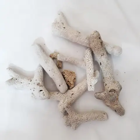 Vật Liệu Lọc Nước San Hôlà Gì?
