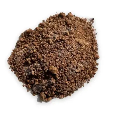 Hình Ảnh Saponin-nong-nghiep-diet-ca-tap-diet-oc-2