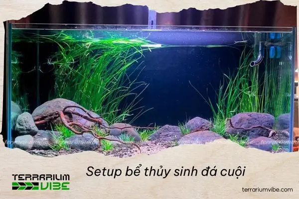 Hướng Dẫn Setup Bể Cá Bằng Đá Cuội: Tạo Cảnh Quan Thiên Nhiên Trong Nhà