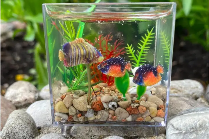 Một Số Mẫu Bể Cá Mini Tự Làm Đẹp, Ấn Tượng Một Số Mẫu Bể Cá Mini Tự Làm Đẹp, Ấn Tượng