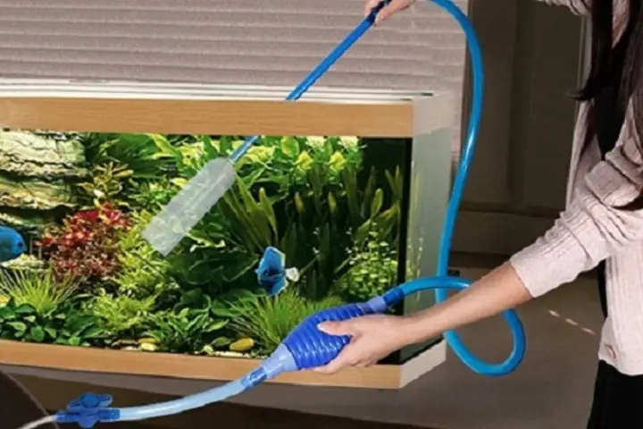 Chăm Sóc Bể Cá Thủy Sinh Định Kỳ Chăm Sóc Bể Cá Thủy Sinh Định Kỳ