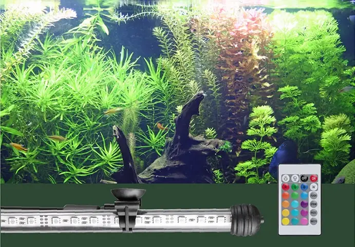 Bước 5: Setup Hệ Thống Đèn Chiếu Sáng Sau Khi Hồ Đã Có Nước