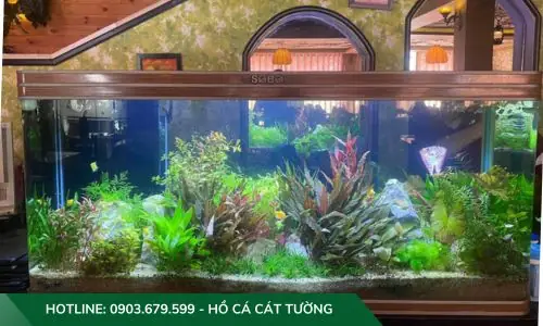 Mẫu Hồ Cả Thủy Sinh Do Công Ty Cát Tường Thiết Kế Và Thi Công