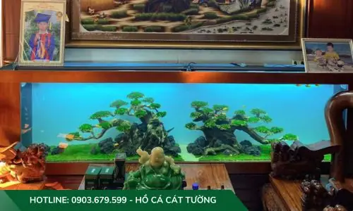 Mẫu Hồ Cả Thủy Sinh Do Công Ty Cát Tường Thiết Kế Và Thi Công