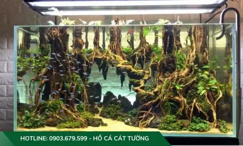 Hồ Cá Thuỷ Sinh Đạt Chuẩn Bao Gồm 8 Thành Phần