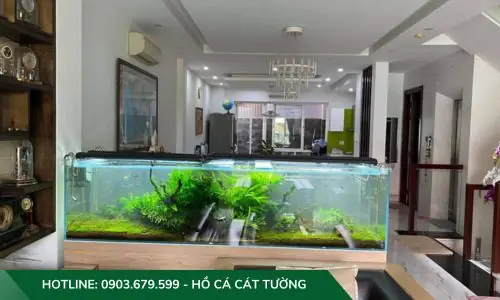 Mẫu Hồ Cả Thủy Sinh Do Công Ty Cát Tường Thiết Kế Và Thi Công