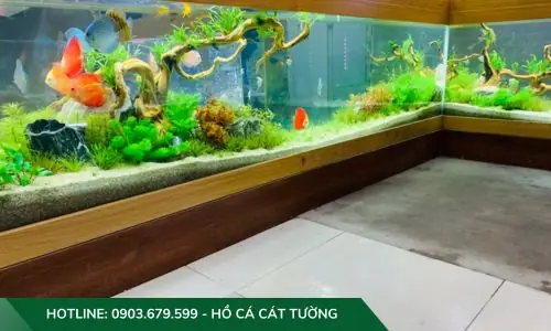 Mẫu Hồ Cả Thủy Sinh Do Công Ty Cát Tường Thiết Kế Và Thi Công