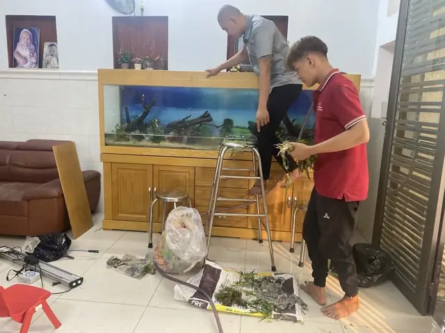 Đơn Vị Thiết Kế Và Thi Công Hồ Cá Thủy Sinh Tại Tphcm