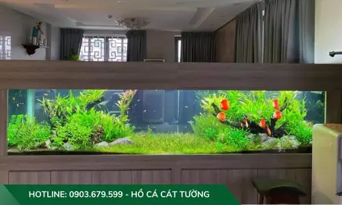 Thi Công Hồ Thủy Sinh Chị Hương Quận 8