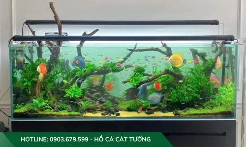 Mẫu Hồ Cả Thủy Sinh Do Công Ty Cát Tường Thiết Kế Và Thi Công