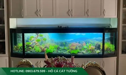 Mẫu Hồ Cả Thủy Sinh Do Công Ty Cát Tường Thiết Kế Và Thi Công