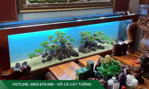Mẫu Hồ Cả Thủy Sinh Do Công Ty Cát Tường Thiết Kế Và Thi Công