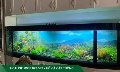Mẫu Hồ Cả Thủy Sinh Do Công Ty Cát Tường Thiết Kế Và Thi Công