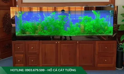 Mẫu Hồ Cả Thủy Sinh Do Công Ty Cát Tường Thiết Kế Và Thi Công