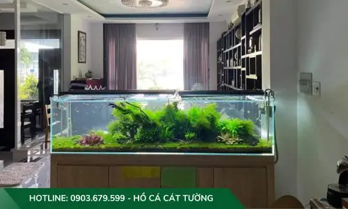 Mẫu Hồ Cả Thủy Sinh Do Công Ty Cát Tường Thiết Kế Và Thi Công