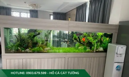 Mẫu Hồ Cả Thủy Sinh Do Công Ty Cát Tường Thiết Kế Và Thi Công