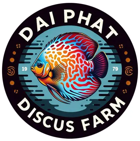 Bán Cá Đĩa Hoang Dã Thú Vị