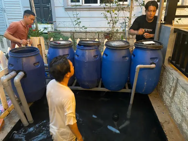 / Sơ Đồ Hệ Thống Lọc Thùng Nhựa Rời Hồ Cá Koi