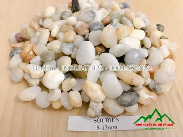 Một Bể Cá Sạch Không Thể Thiếu Sự Góp Mặt Của Những Viên Sỏi.
