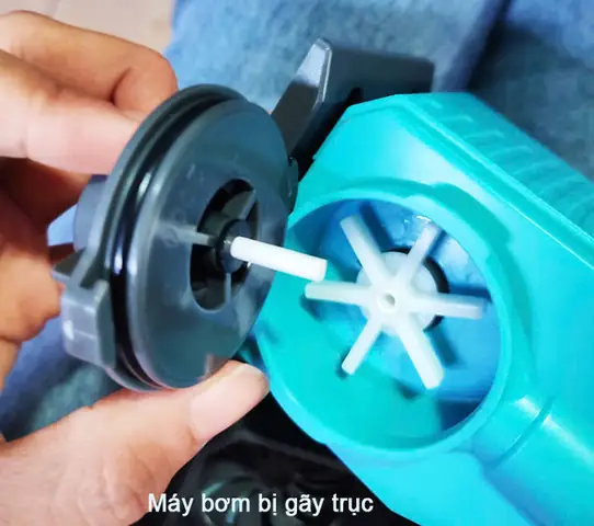 Máy Bơm Hoạt Động Nhưng Không Lên Nước