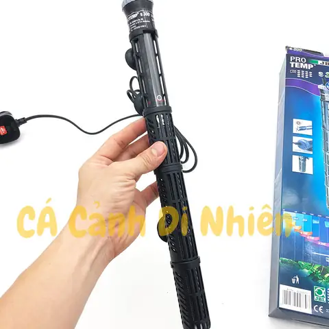 Cây Sưởi Ấm Hồ Cá Rồng 300w Jbl Protemp S300 Cho Hồ Bể Cá 400l