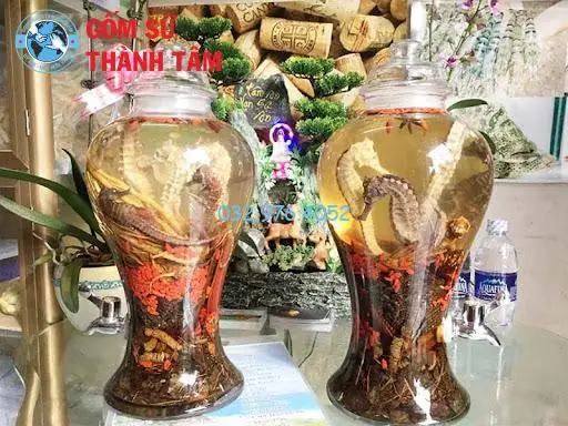 Tác dụng cá ngựa ngâm rượu: Hướng dẫn sử dụng và lưu ý