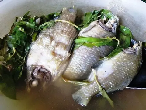 Tác Dụng Của Cá Diếc