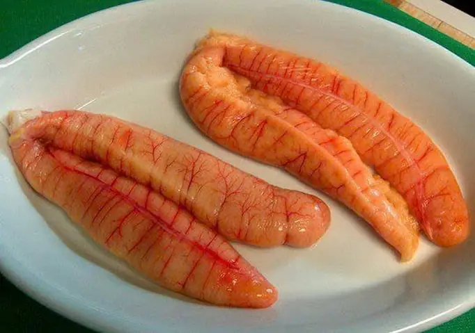 Tìm Hiểu Về Trứng Cá Chép