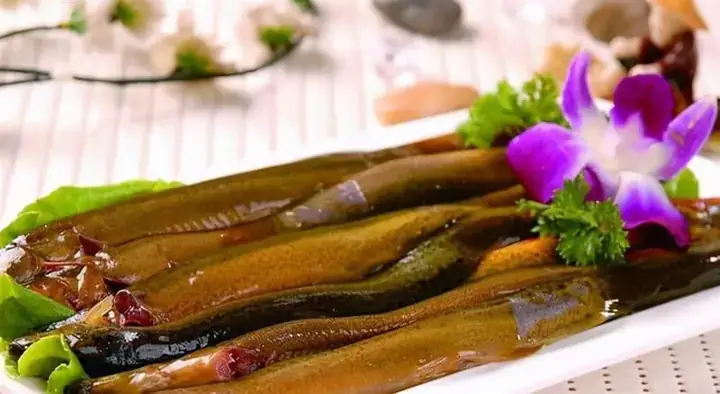 Tổng Quan Về Loài Cá Chạch: Đặc Điểm Và Môi Trường Sống