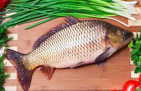 Tác Hại Của Cá Chép: Những Điều Cần Biết Để Ăn An Toàn