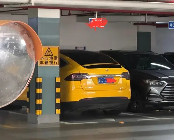 Tại Sao Cá Mè Lại Rẻ? Phân Tích Từ Kinh Tế Học Đến Thói Quen Tiêu Dùng