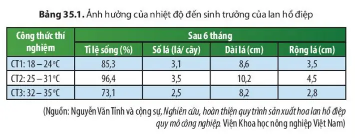 Tại Sao Khi Nuôi Cá Cảnh Trong Bể Kính