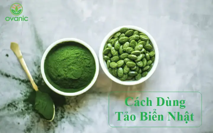 Cá Bào Tảo Bẹ Khô Nhật Bản - Bí Quyết Nấu Nước Dùng Dashi Thơm Ngon Cho Bé