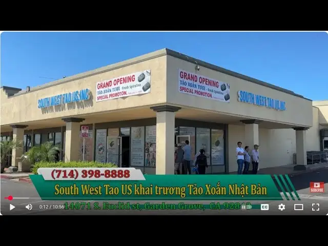 Cá Bào Tảo Bẹ Khô Nhật Bản - Bí Quyết Nấu Nước Dùng Dashi Thơm Ngon Cho Bé